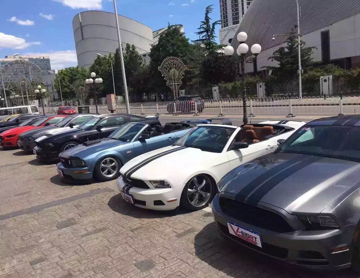 租車(chē)公司 